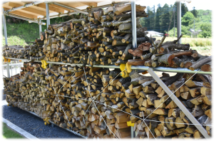 増田さんご夫妻2