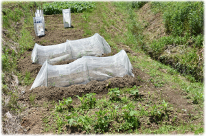 増田さんご夫妻3