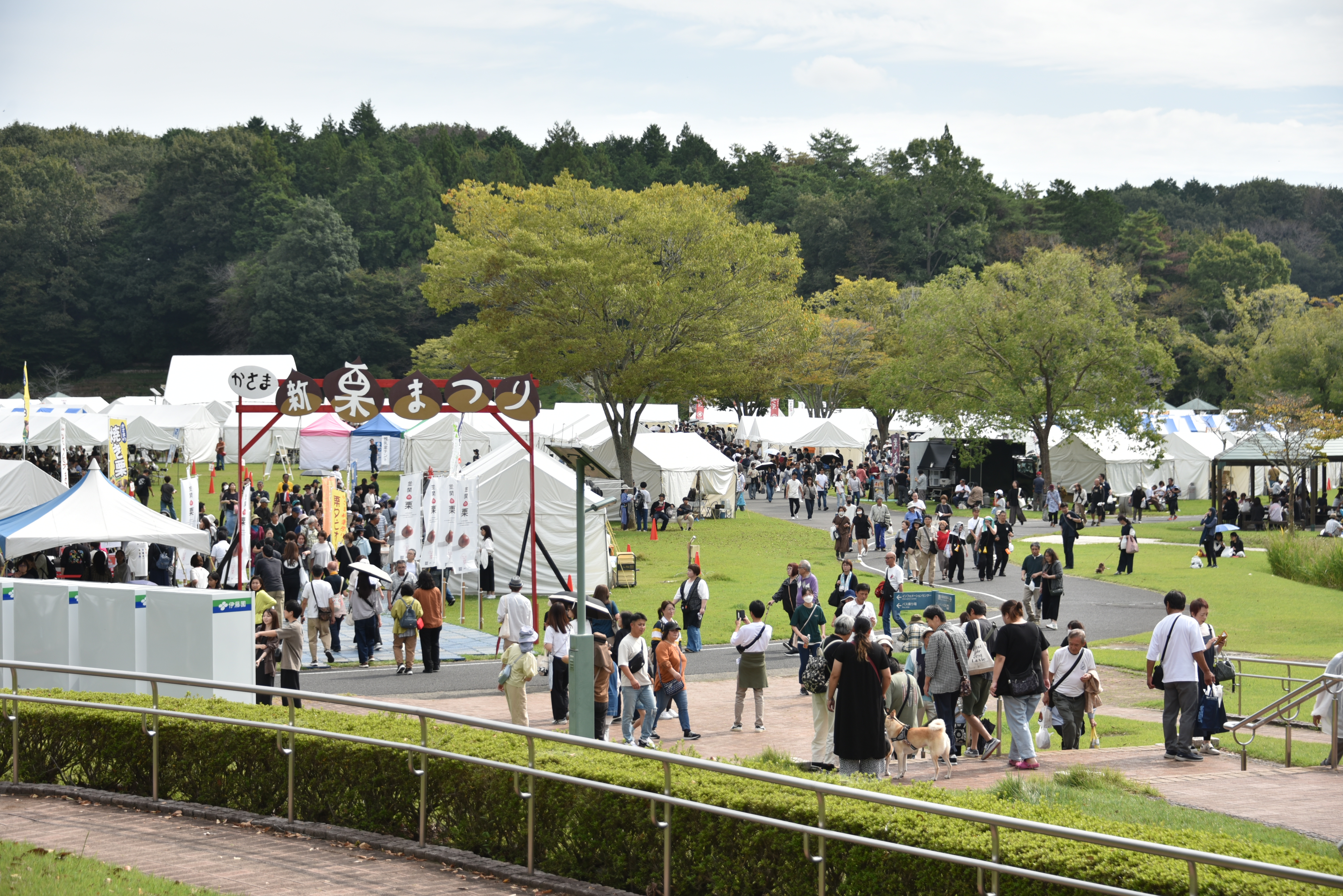 第19回かさま新栗まつり様子