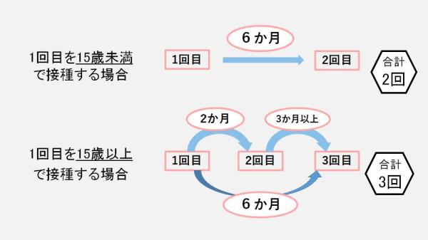 HPVスケジュール