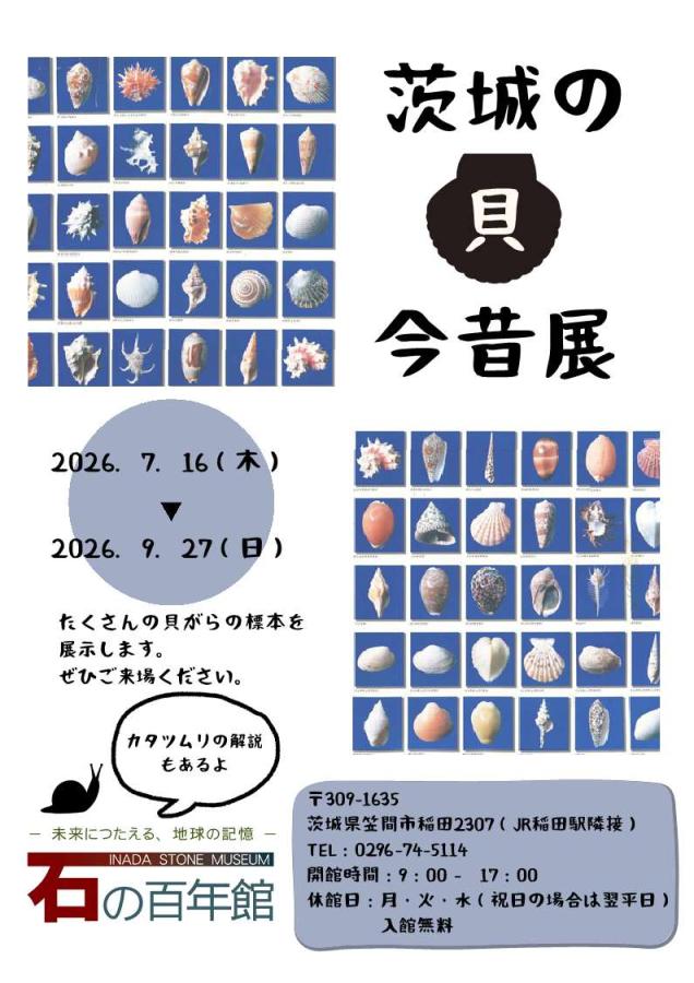 茨城の貝今昔展チラシ