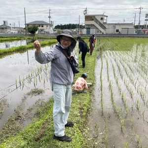 R8.6.6(木曜日)田んぼの生き物調査(3)