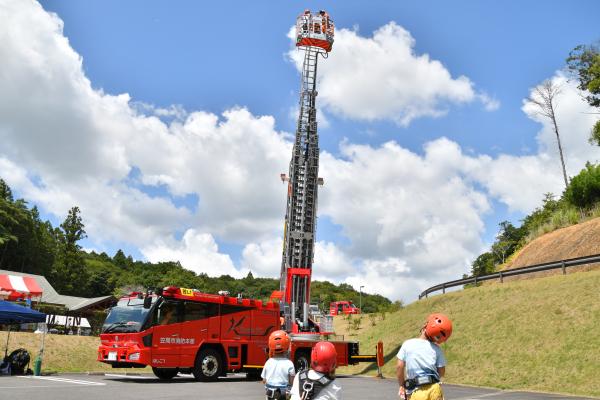 サンプル画像1