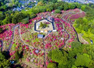 つつじ公園2