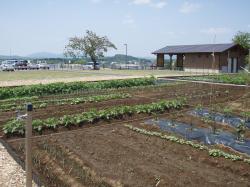 生き活き菜園はなさか全景