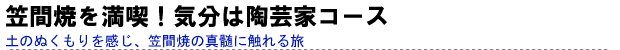 笠間焼を満喫!気分は陶芸家コース 