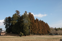 小原城本丸跡