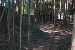 湯崎城本郭跡