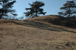 箱田うら山古墳