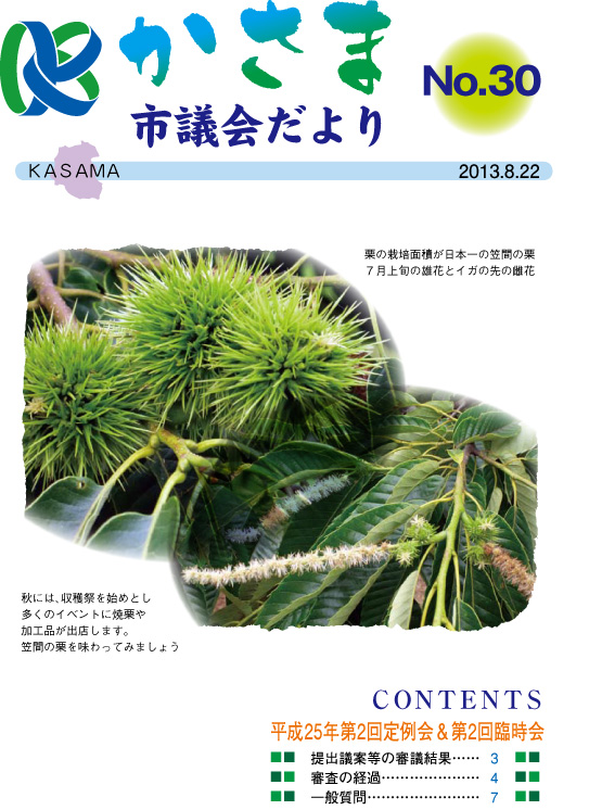 かさま市議会だより第30号表紙