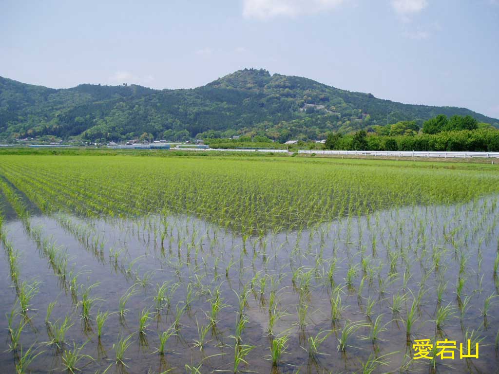 愛宕山