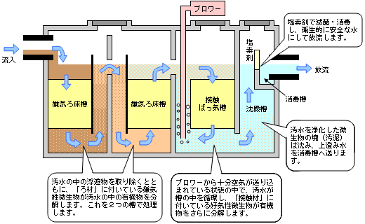 合併浄化槽の種類と仕組み