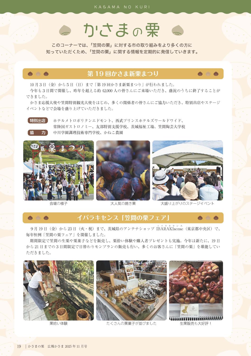 19ページ