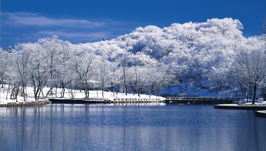 北山公園の冬景色