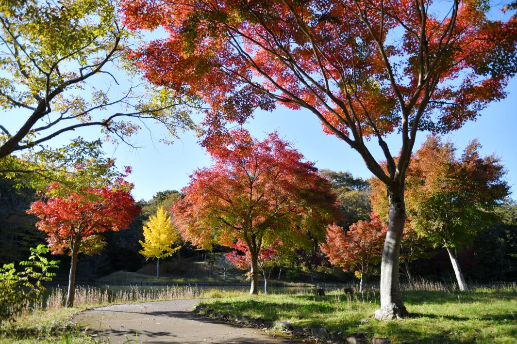 R4北山公園