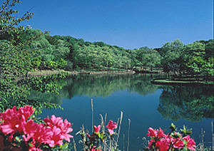 北山公園