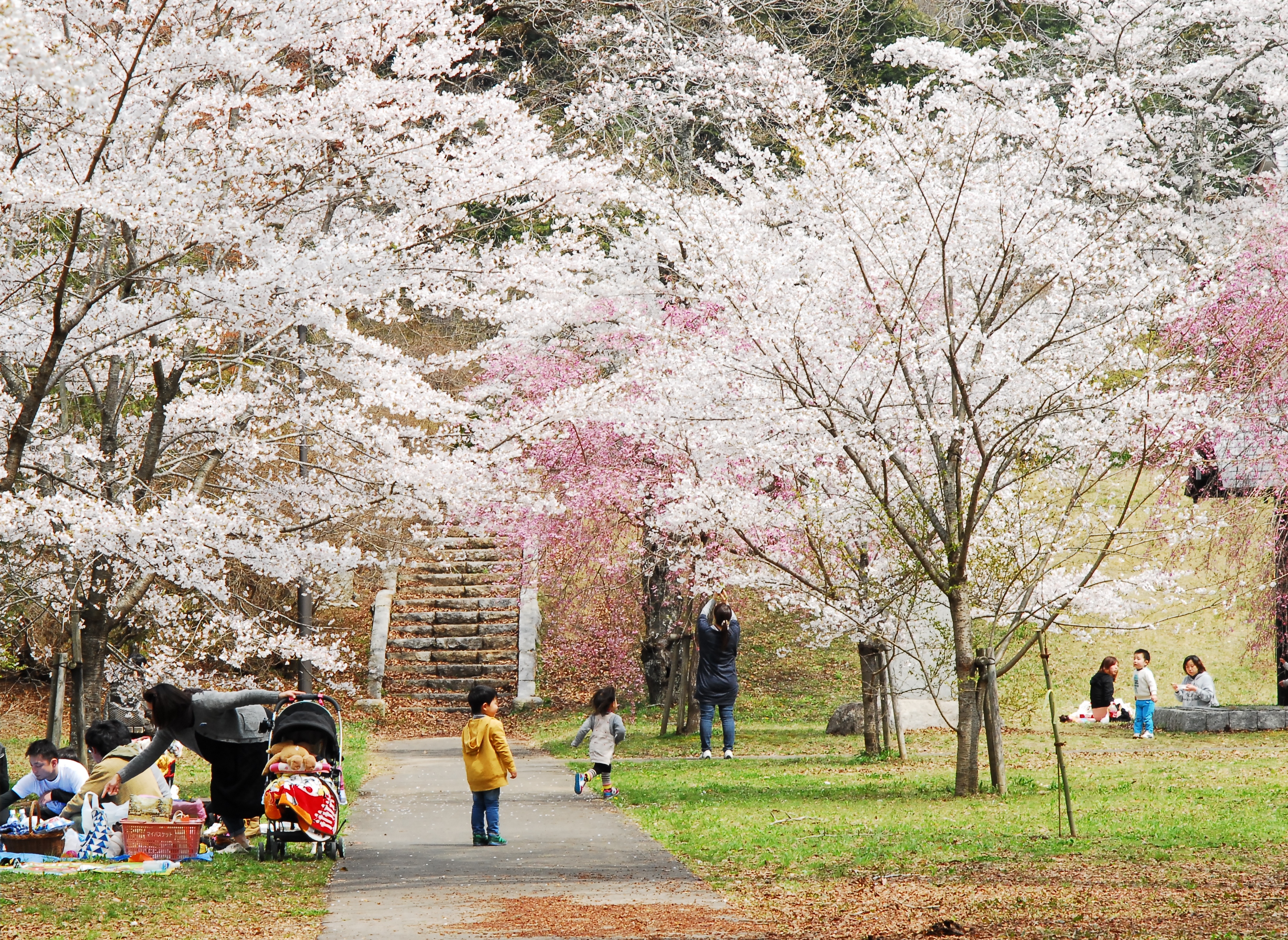 佐白山ろく公園