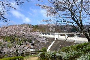 「春のダムサイト」