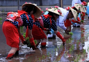 『御田植祭』