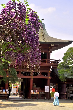 『花飾り』