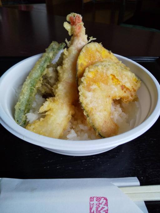 掲載写真1